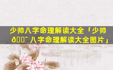 少帅八字命理解读大全「少帅 🐯 八字命理解读大全图片」